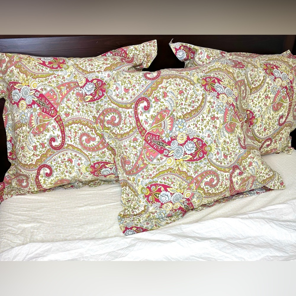Pottery Barn Corey 3 Paisley Floral Cotton Euro Shams Retired